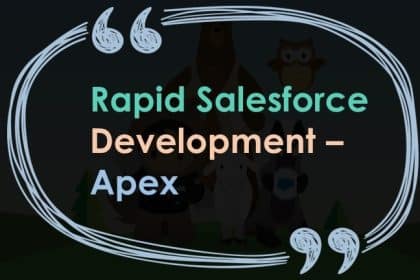 salesforce Apex rapid development